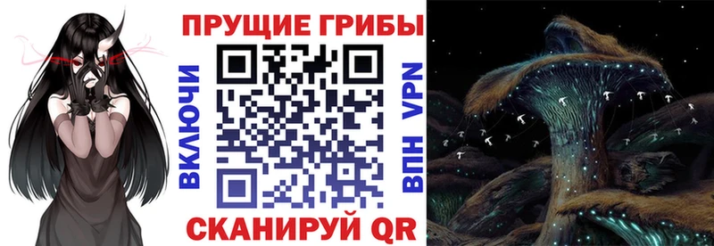 Купить закладки  Железногорск-Илимский  Галлюциногенные грибы Psilocybe 
